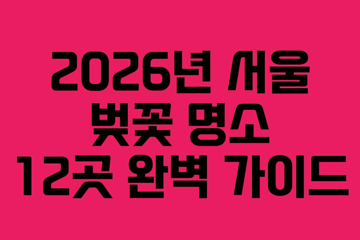 2026년 서울 벚꽃 명소 12곳 완벽 가이드