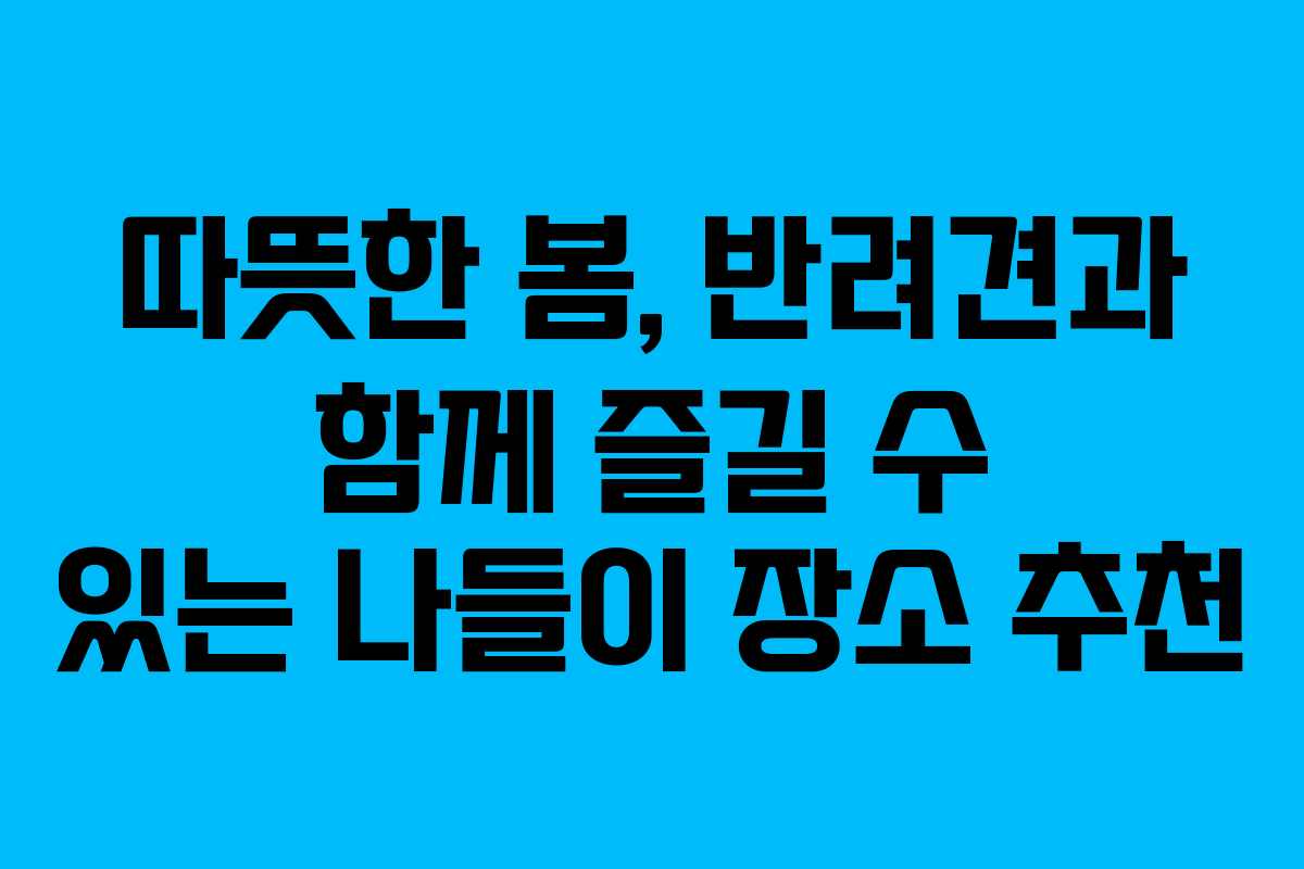 따뜻한 봄, 반려견과 함께 즐길 수 있는 나들이 장소 추천