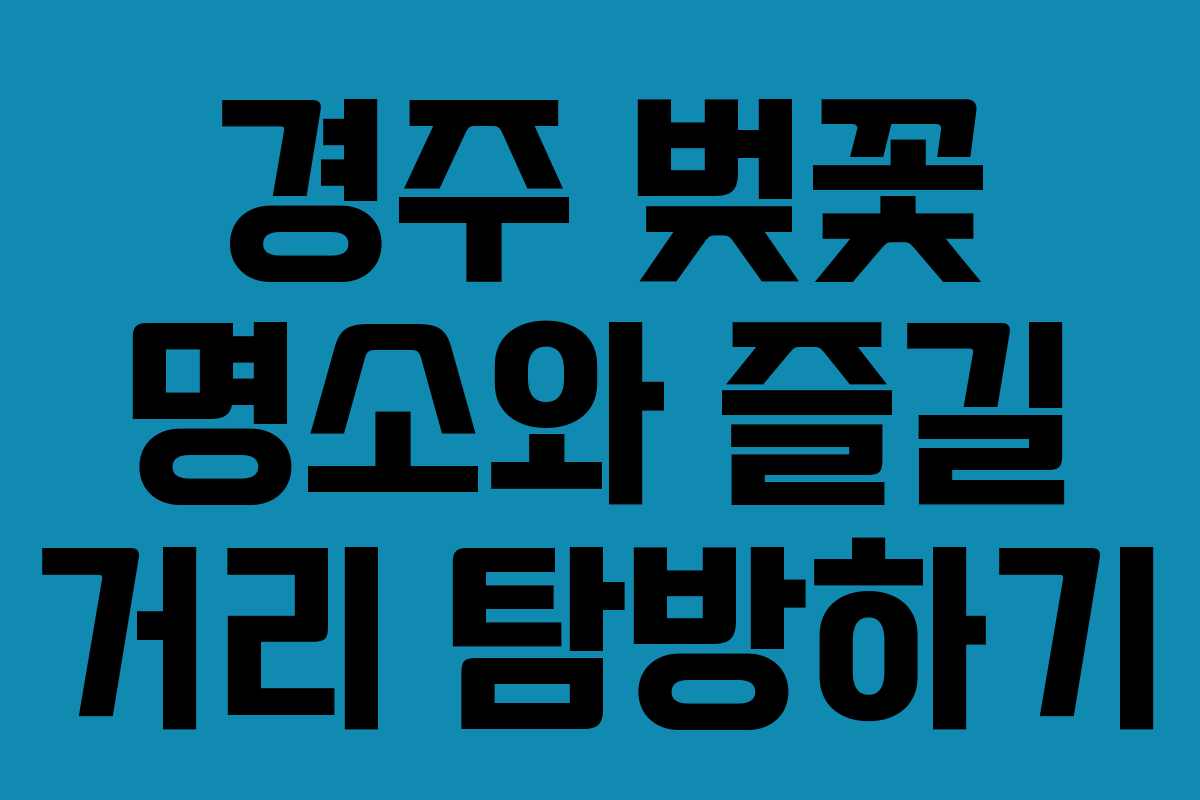 경주 벚꽃 명소와 즐길 거리 탐방하기