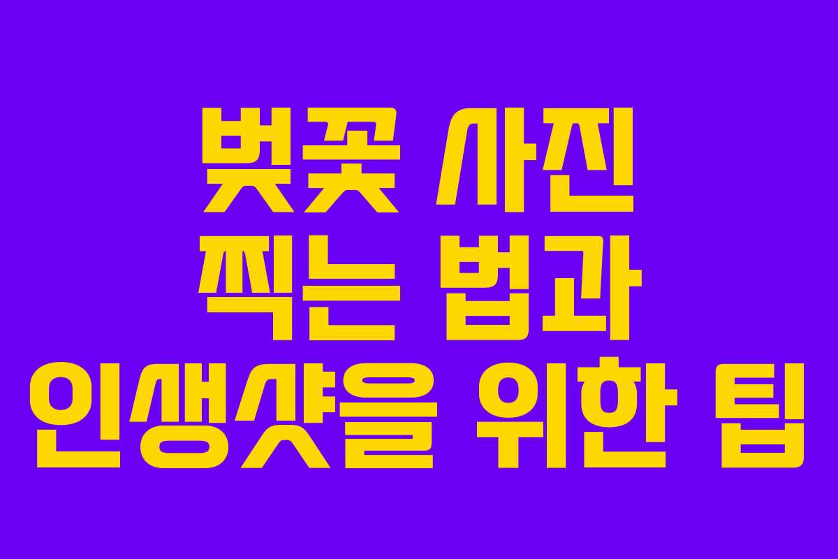 벚꽃 사진 찍는 법과 인생샷을 위한 팁