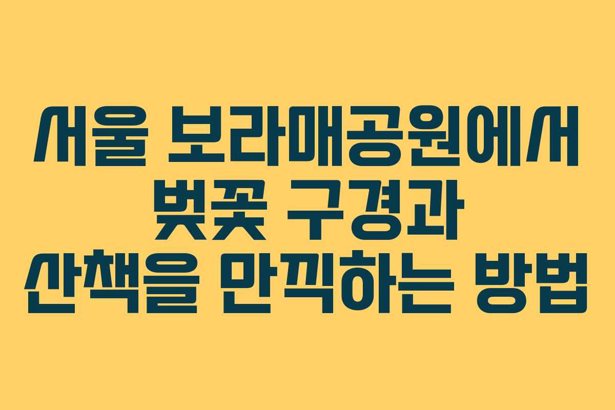 서울 보라매공원에서 벚꽃 구경과 산책을 만끽하는 방법