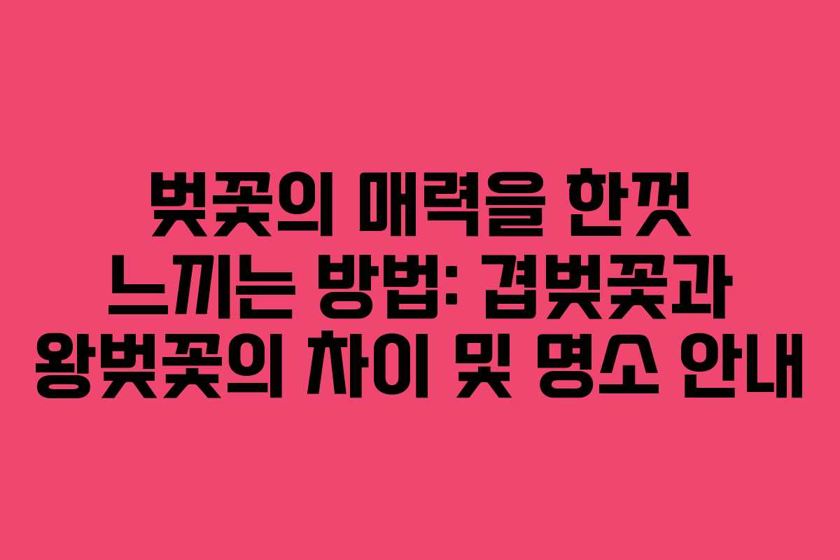 벚꽃의 매력을 한껏 느끼는 방법: 겹벚꽃과 왕벚꽃의 차이 및 명소 안내