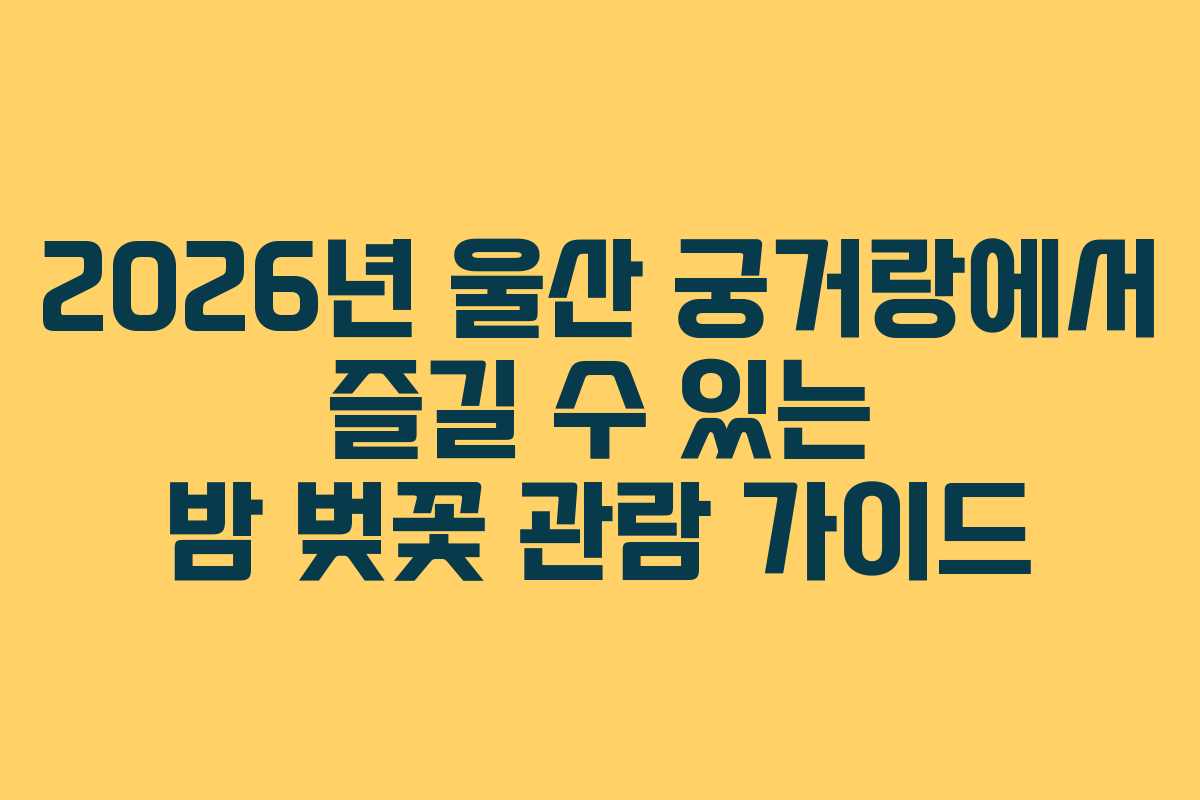 2026년 울산 궁거랑에서 즐길 수 있는 밤 벚꽃 관람 가이드