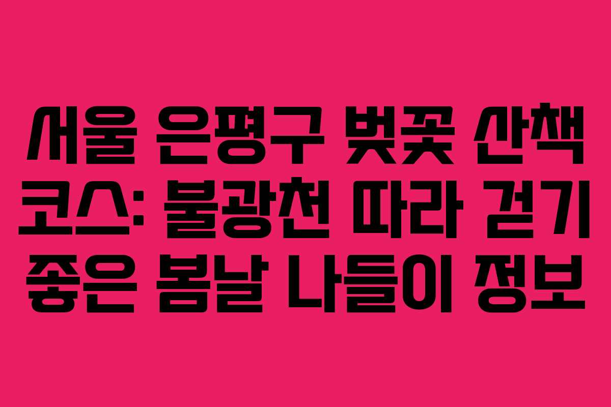 서울 은평구 벚꽃 산책 코스: 불광천 따라 걷기 좋은 봄날 나들이 정보