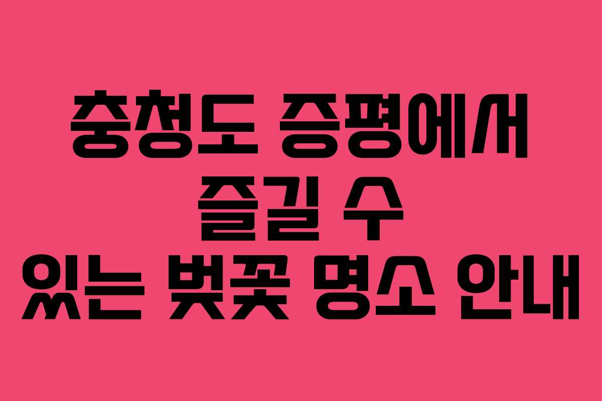 충청도 증평에서 즐길 수 있는 벚꽃 명소 안내