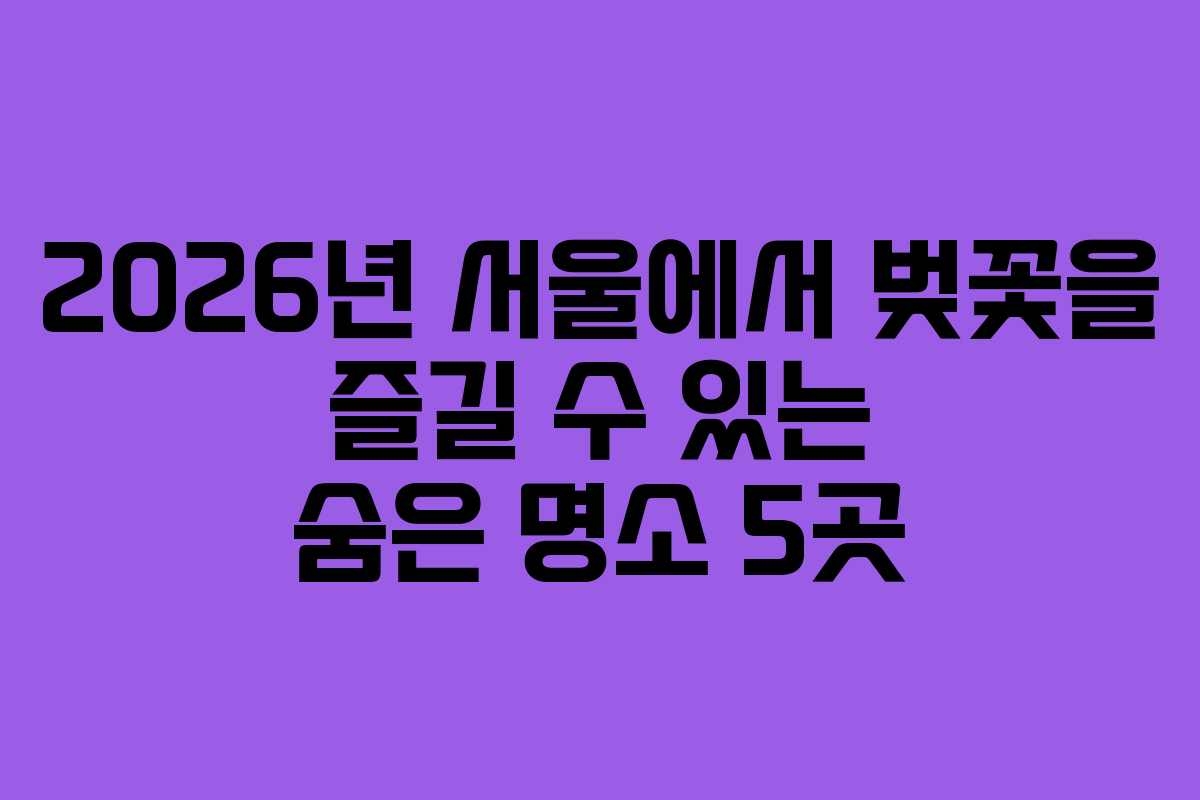 2026년 서울에서 벚꽃을 즐길 수 있는 숨은 명소 5곳