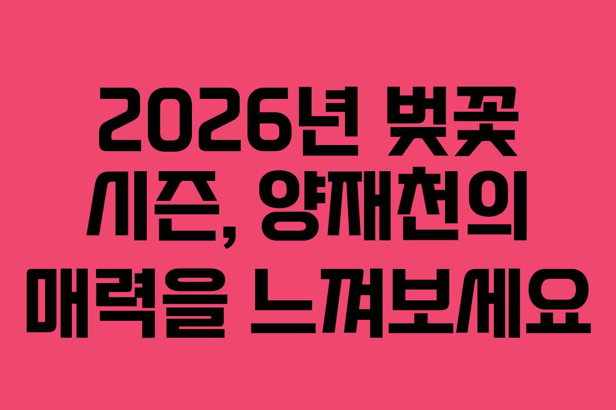 2026년 벚꽃 시즌, 양재천의 매력을 느껴보세요