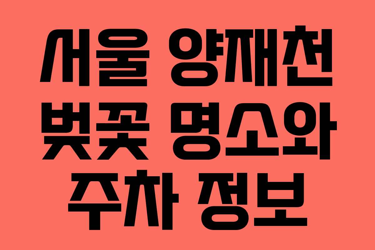 서울 양재천 벚꽃 명소와 주차 정보