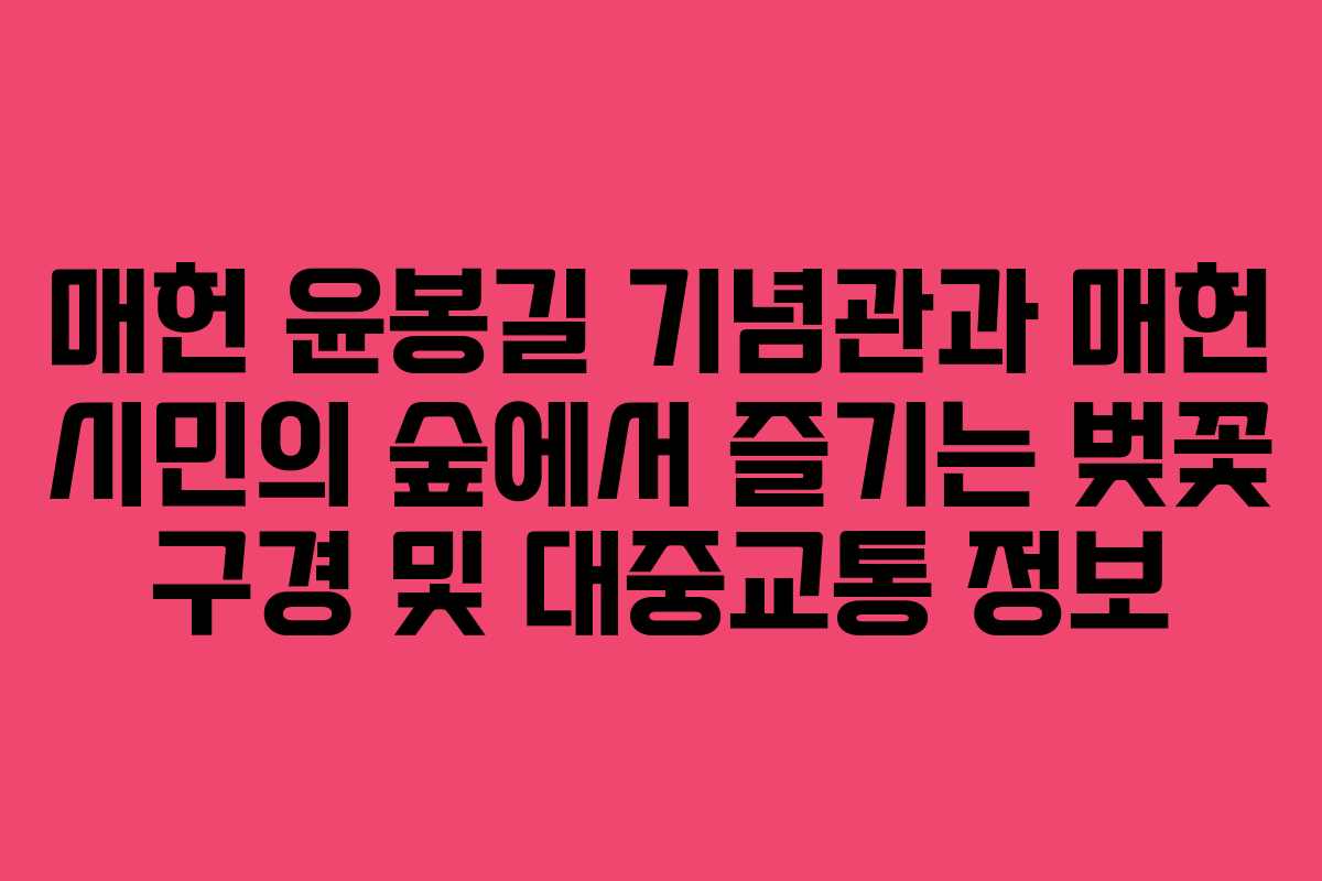 매헌 윤봉길 기념관과 매헌 시민의 숲에서 즐기는 벚꽃 구경 및 대중교통 정보
