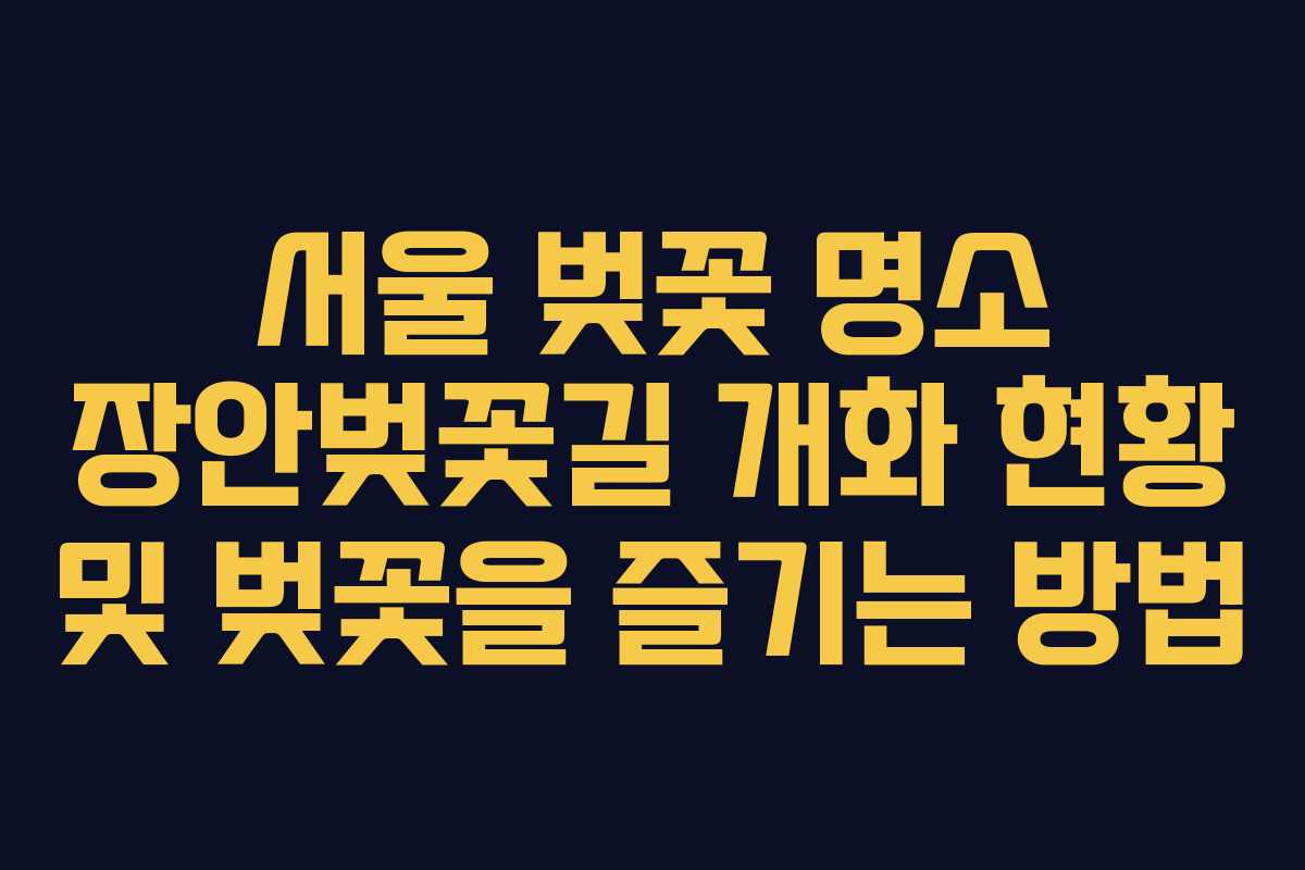 서울 벚꽃 명소 장안벚꽃길 개화 현황 및 벚꽃을 즐기는 방법