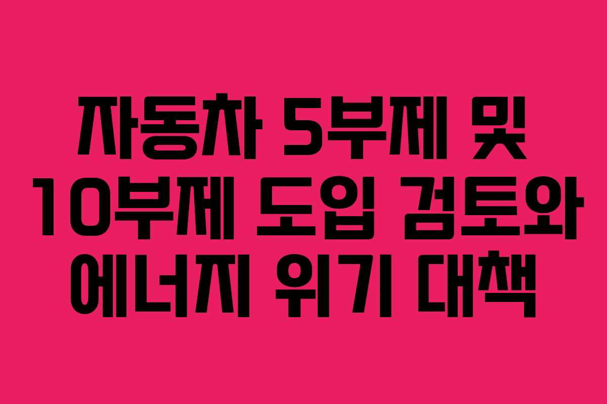 자동차 5부제 및 10부제 도입 검토와 에너지 위기 대책