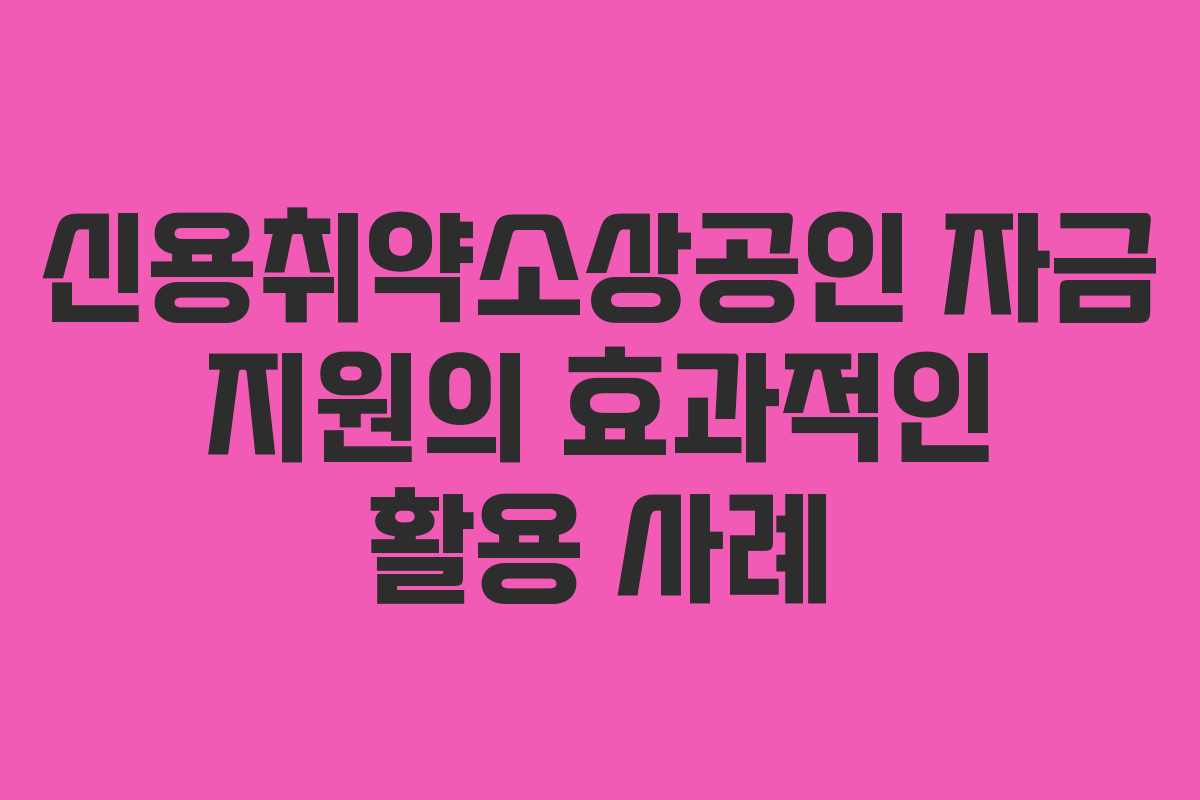 신용취약소상공인 자금 지원의 효과적인 활용 사례