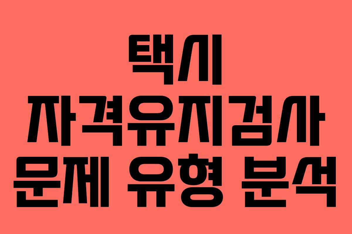 택시 자격유지검사 문제 유형 분석
