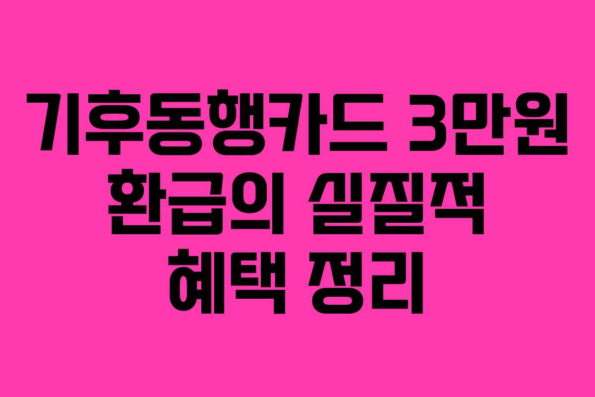 기후동행카드-3만원-환급의-실질적-혜택-정리