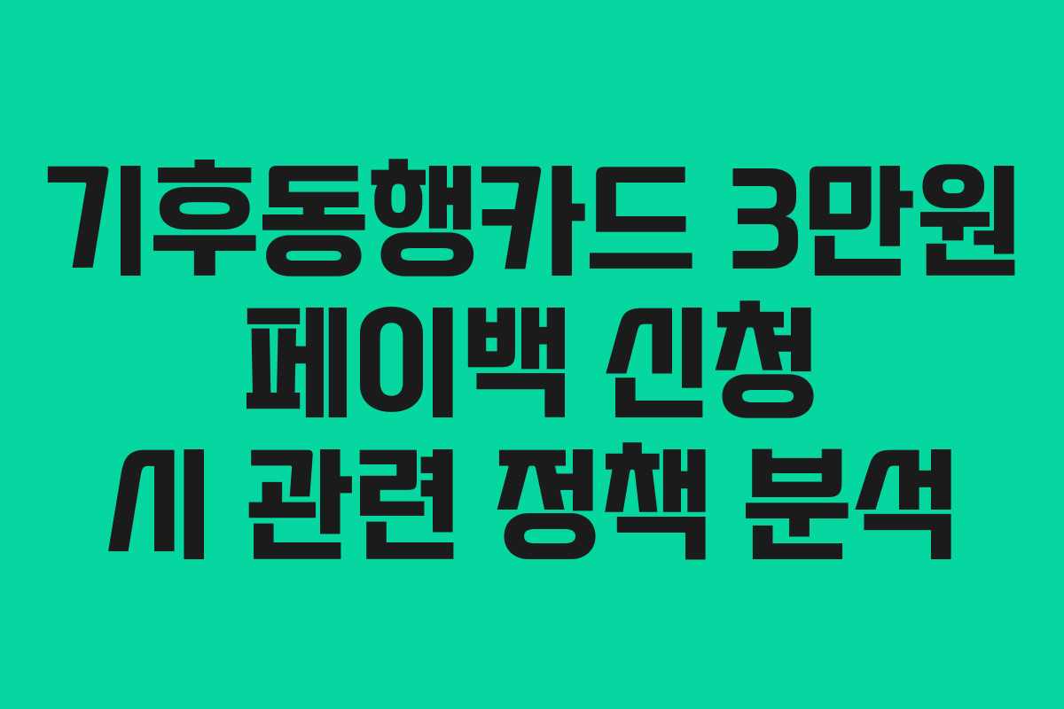 기후동행카드-3만원-페이백-신청-시-관련-정책-분석