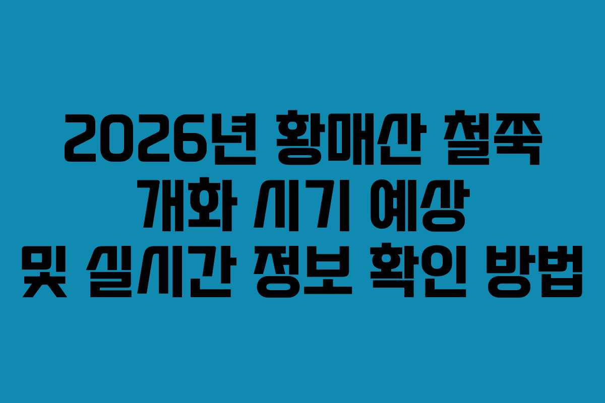 2026년-황매산-철쭉-개화-시기-예상-및-실시간-정보-확인-방법