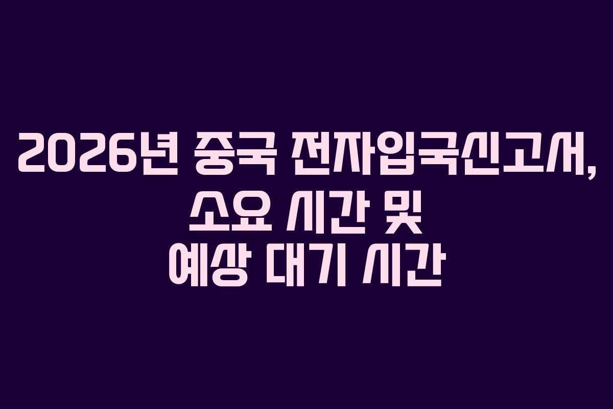 2026년 중국 전자입국신고서, 소요 시간 및 예상 대기 시간