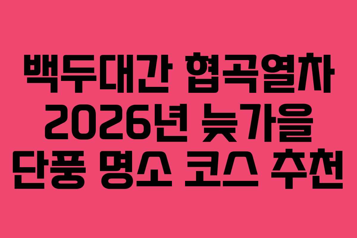 백두대간-협곡열차-2026년-늦가을-단풍-명소-코스-추천