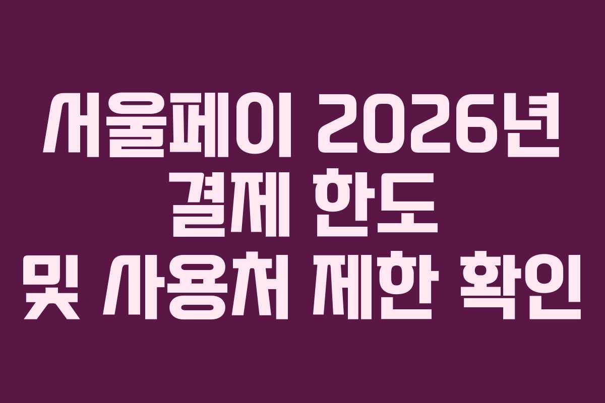 서울페이-2026년-결제-한도-및-사용처-제한-확인