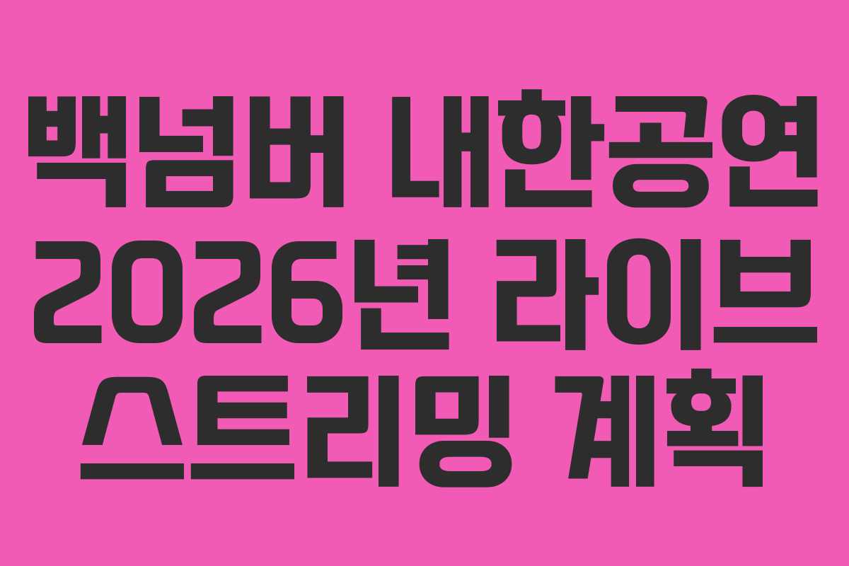 백넘버 내한공연 2026년 라이브 스트리밍 계획