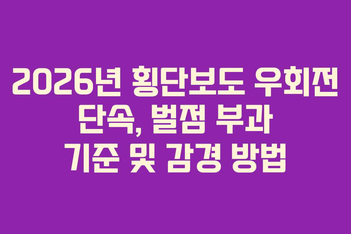 2026년 횡단보도 우회전 단속, 벌점 부과 기준 및 감경 방법