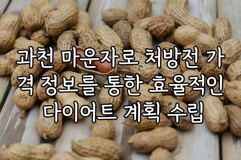 과천 마운자로 처방전 가격 정보를 통한 효율적인 다이어트 계획 수립