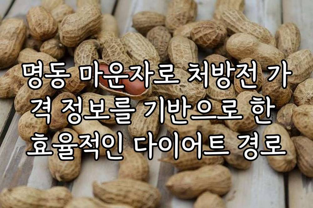 명동 마운자로 처방전 가격 정보를 기반으로 한 효율적인 다이어트 경로