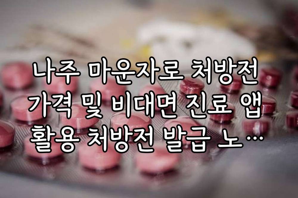 나주 마운자로 처방전 가격 및 비대면 진료 앱 활용 처방전 발급 노하우