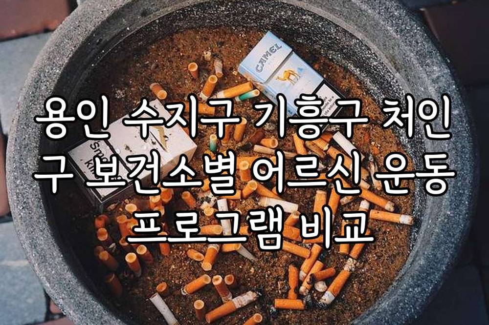 용인 수지구 기흥구 처인구 보건소별 어르신 운동 프로그램 비교