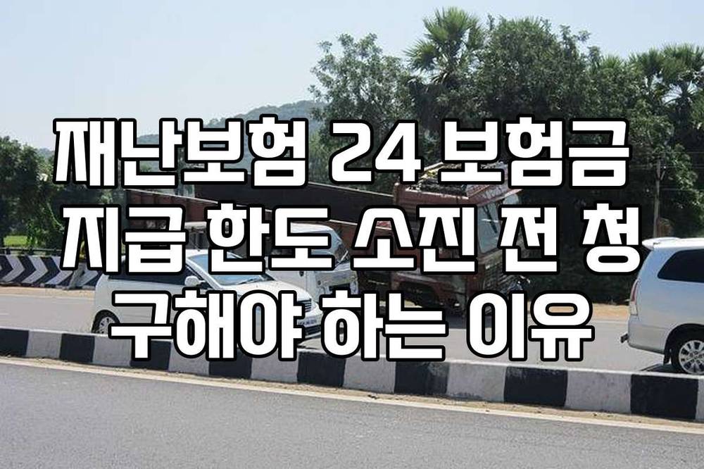 재난보험 24 보험금 지급 한도 소진 전 청구해야 하는 이유