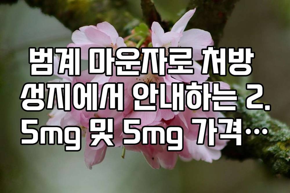 범계 마운자로 처방 성지에서 안내하는 2.5mg 및 5mg 가격 차이