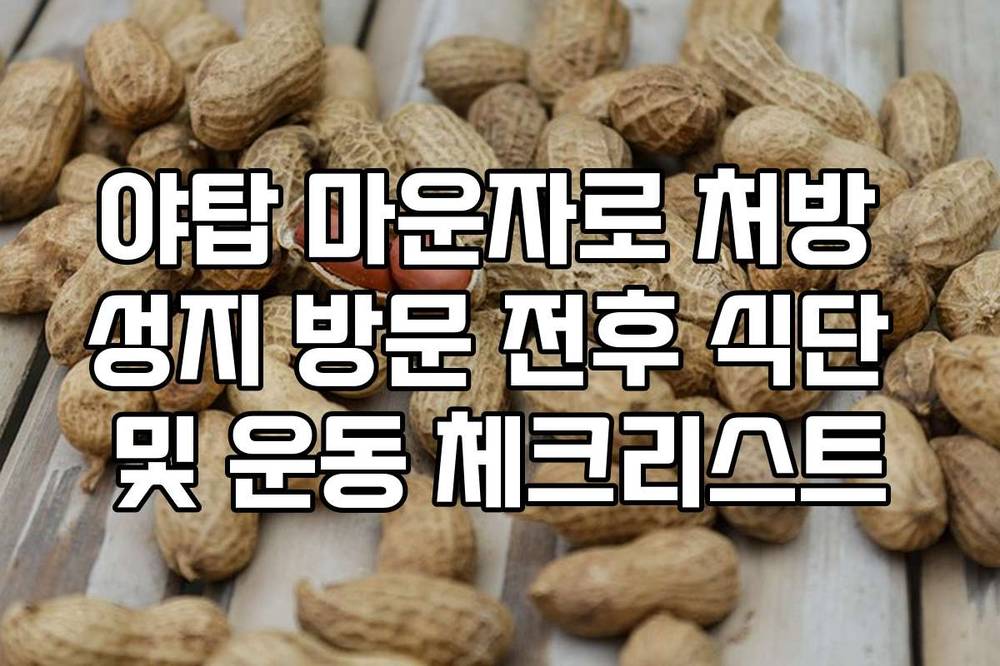 야탑 마운자로 처방 성지 방문 전후 식단 및 운동 체크리스트