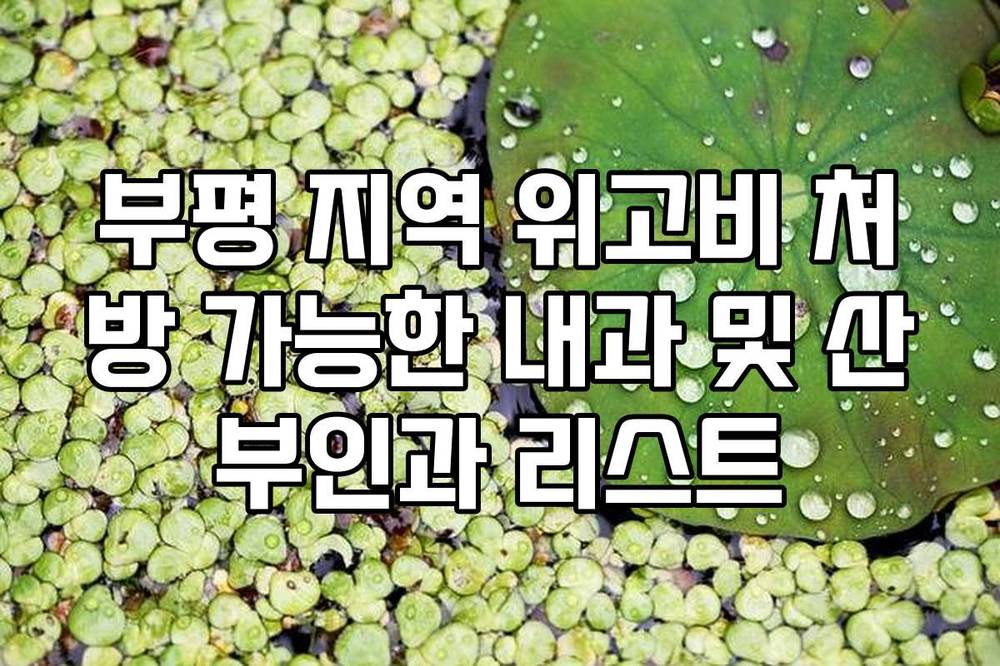 부평 지역 위고비 처방 가능한 내과 및 산부인과 리스트