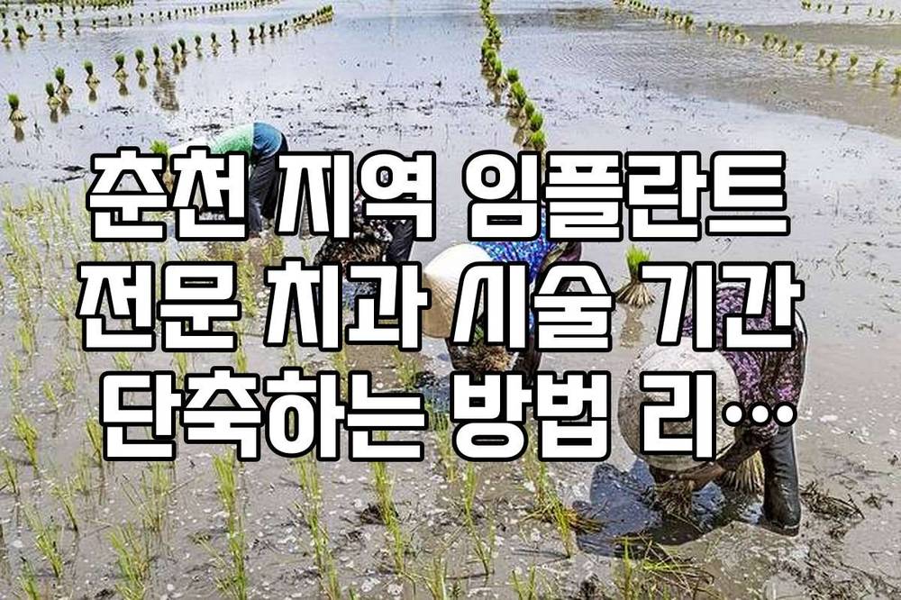 춘천 지역 임플란트 전문 치과 시술 기간 단축하는 방법 리스트