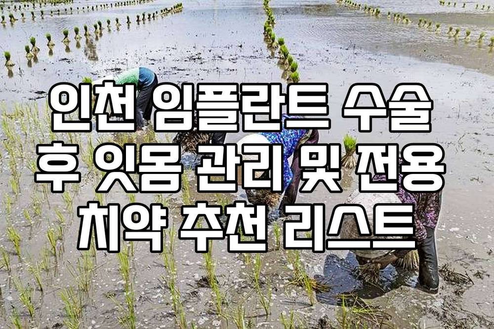 인천 임플란트 수술 후 잇몸 관리 및 전용 치약 추천 리스트
