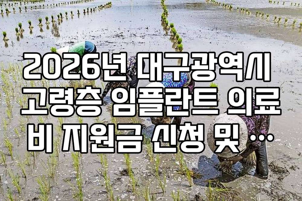 2026년 대구광역시 고령층 임플란트 의료비 지원금 신청 및 접수처