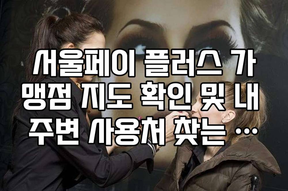 서울페이 플러스 가맹점 지도 확인 및 내 주변 사용처 찾는 방법