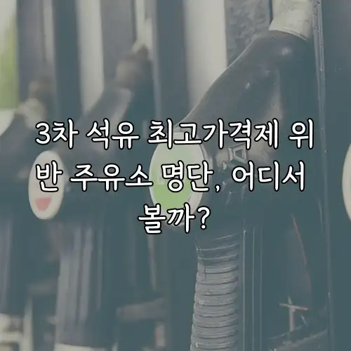 3차 석유 최고가격제 위반 주유소 명단, 어디서 볼까?