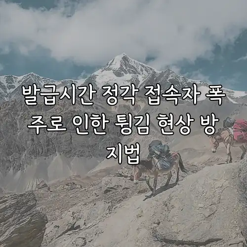 발급시간 정각 접속자 폭주로 인한 튕김 현상 방지법