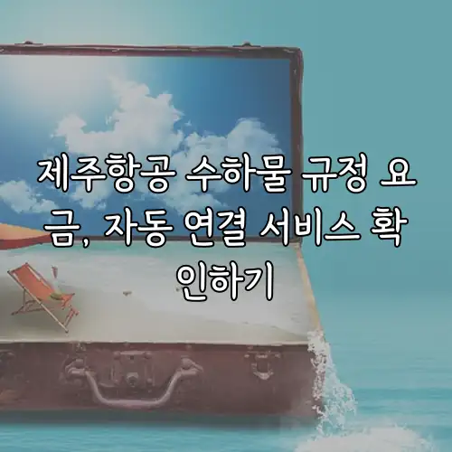 제주항공 수하물 규정 요금, 자동 연결 서비스 확인하기
