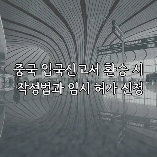 중국 입국신고서 환승 시 작성법과 임시 허가 신청