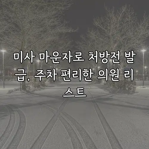 미사 마운자로 처방전 발급, 주차 편리한 의원 리스트