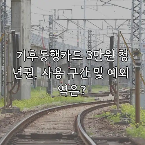 기후동행카드 3만원 청년권, 사용 구간 및 예외 역은?