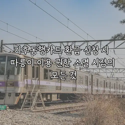 기후동행카드 환급 신청 시 따릉이 이용 권한 소멸 시점의 모든 것