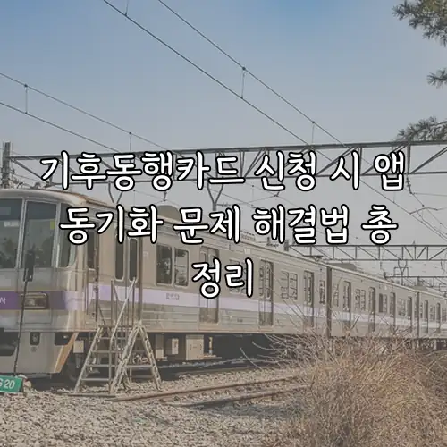 기후동행카드 신청 시 앱 동기화 문제 해결법 총정리