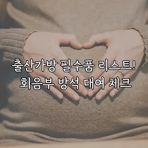 출산가방 필수품 리스트! 회음부 방석 대여 체크