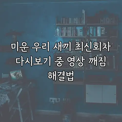 미운 우리 새끼 최신회차 다시보기 중 영상 깨짐 해결법