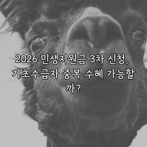 2026 민생지원금 3차 신청, 기초수급자 중복 수혜 가능할까?