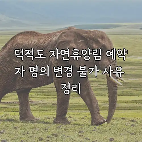 덕적도 자연휴양림 예약자 명의 변경 불가 사유 정리