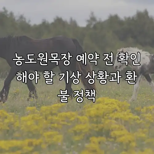 농도원목장 예약 전 확인해야 할 기상 상황과 환불 정책